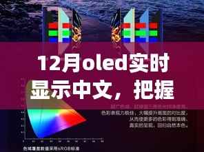 12月OLED中文实时显示,把握变化,点亮未来——展现你的中文魅力