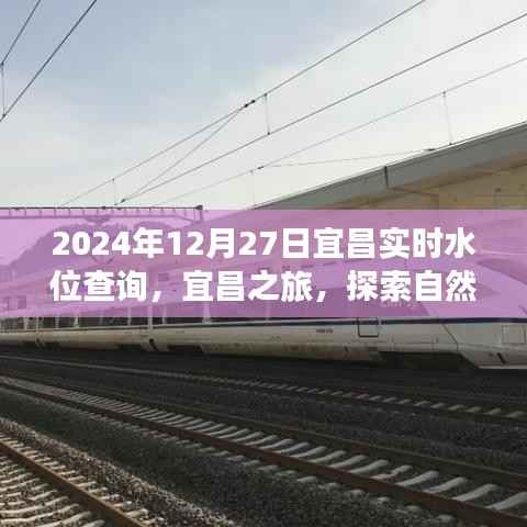 探索自然美景,寻找内心平静,宜昌之旅实时水位查询