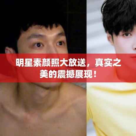 明星素颜照大放送,真实之美的震撼展现!