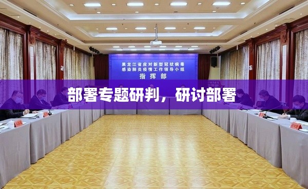 部署专题研判,研讨部署