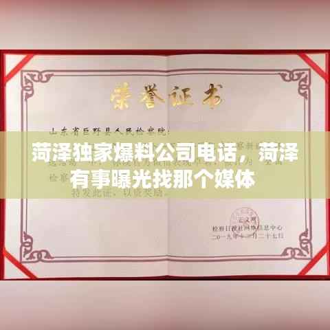 菏泽独家爆料公司电话,菏泽有事曝光找那个媒体