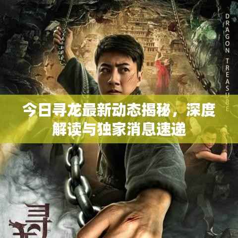 今日寻龙最新动态揭秘,深度解读与独家消息速递