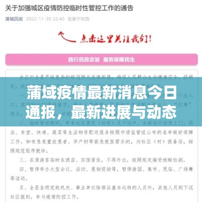 蒲域疫情最新消息今日通报,最新进展与动态关注