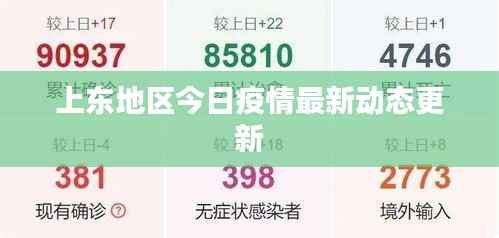 上东地区今日疫情最新动态更新