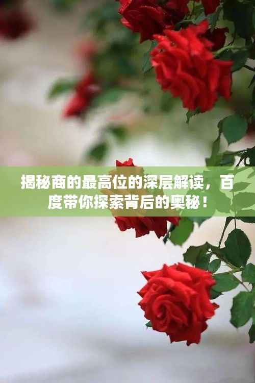 揭秘商的最高位的深层解读,百度带你探索背后的奥秘!