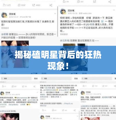 揭秘磕明星背后的狂热现象!