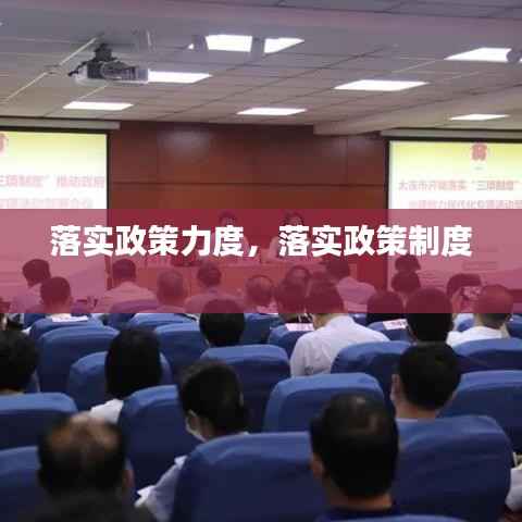 落实政策力度,落实政策制度