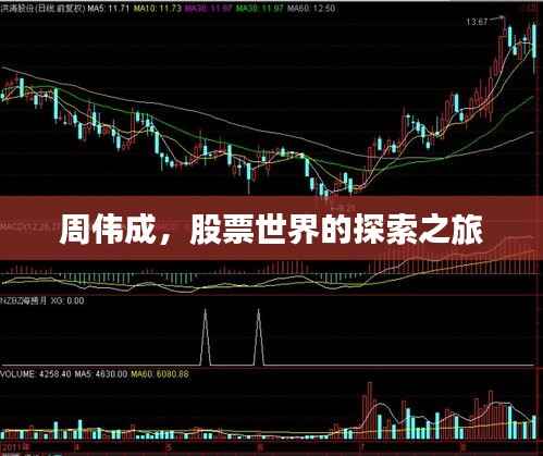 周伟成,股票世界的探索之旅