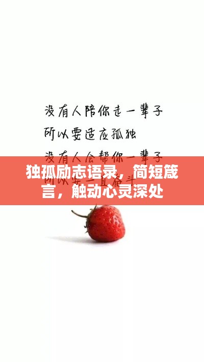 独孤励志语录,简短箴言,触动心灵深处