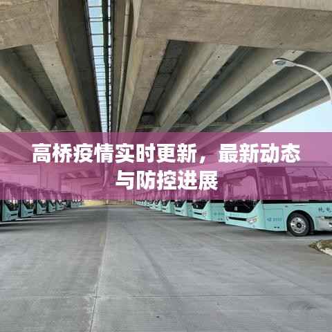 高桥疫情实时更新,最新动态与防控进展