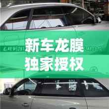 新车龙膜独家授权,龙膜受权店