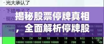揭秘股票停牌真相,全面解析停牌股票影响及查询攻略