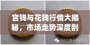 宫钱与花钱行情大揭秘,市场走势深度剖析