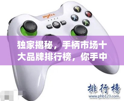 独家揭秘,手柄市场十大品牌排行榜,你手中的手柄上榜了吗?