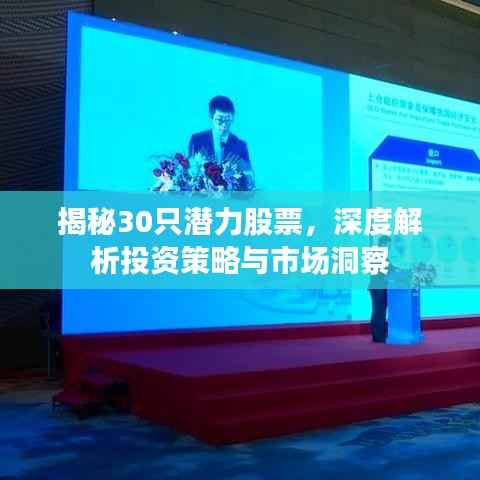 揭秘30只潜力股票,深度解析投资策略与市场洞察