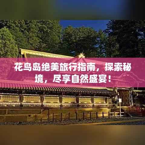 花鸟岛绝美旅行指南,探索秘境,尽享自然盛宴!