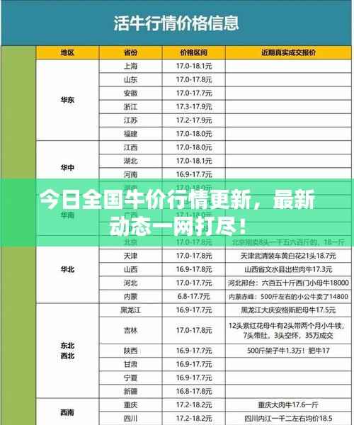 今日全国牛价行情更新,最新动态一网打尽!