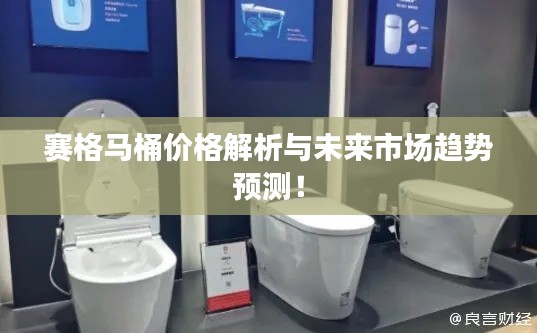 赛格马桶价格解析与未来市场趋势预测！