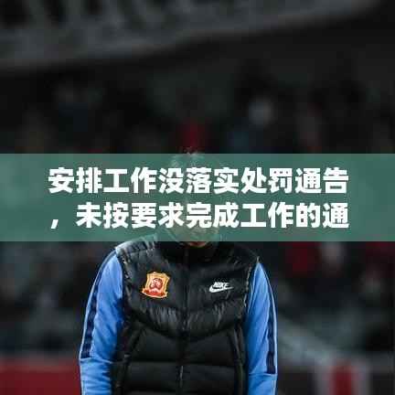 安排工作没落实处罚通告,未按要求完成工作的通报