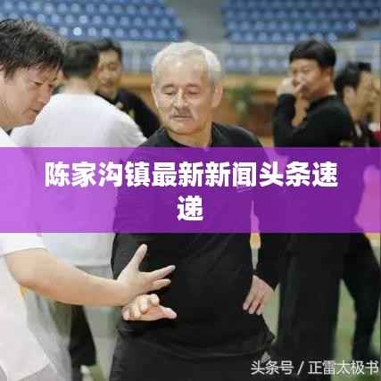 陈家沟镇最新新闻头条速递