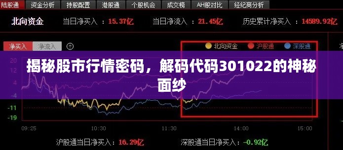 揭秘股市行情密码,解码代码301022的神秘面纱