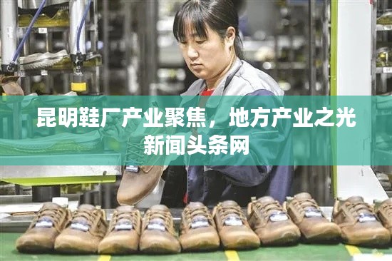 昆明鞋厂产业聚焦,地方产业之光新闻头条网