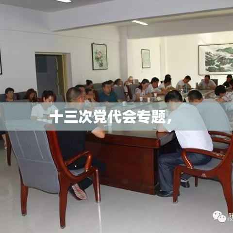 十三次党代会专题,
