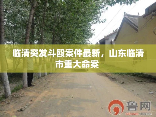 临清突发斗殴案件最新,山东临清市重大命案