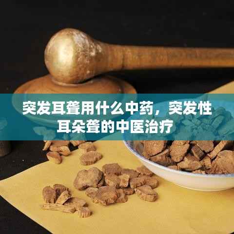 突发耳聋用什么中药,突发性耳朵聋的中医治疗