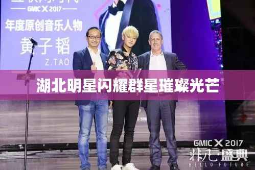 湖北明星闪耀群星璀璨光芒