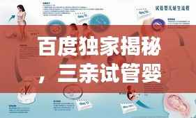百度独家揭秘,三亲试管婴儿深度解读与真相揭秘