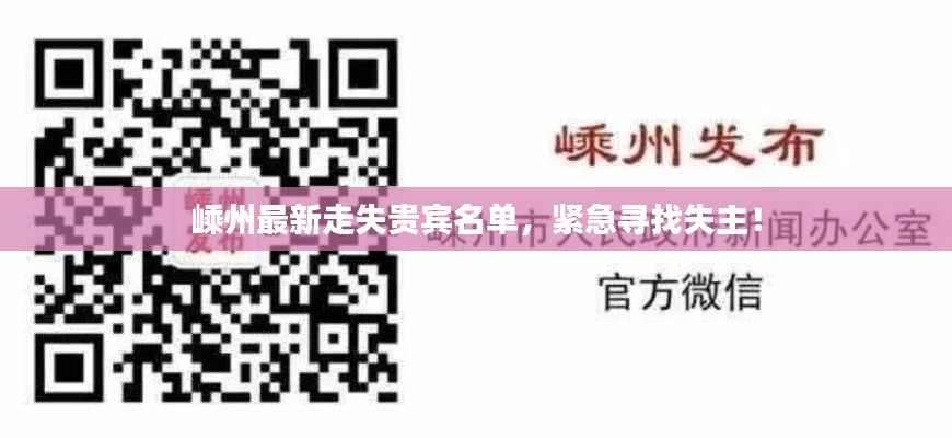 嵊州最新走失贵宾名单,紧急寻找失主!