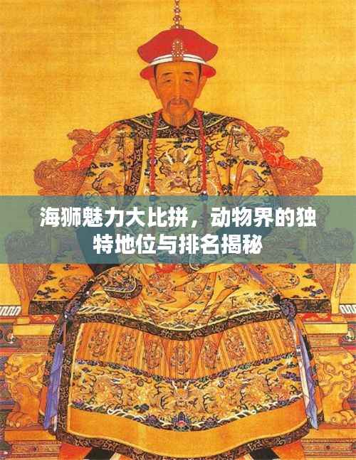 海狮魅力大比拼,动物界的独特地位与排名揭秘